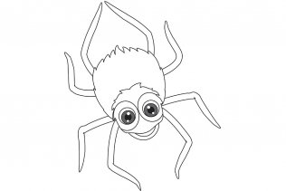 dessin araignée halloween