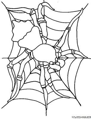 dessin à colorier araignee spiderman