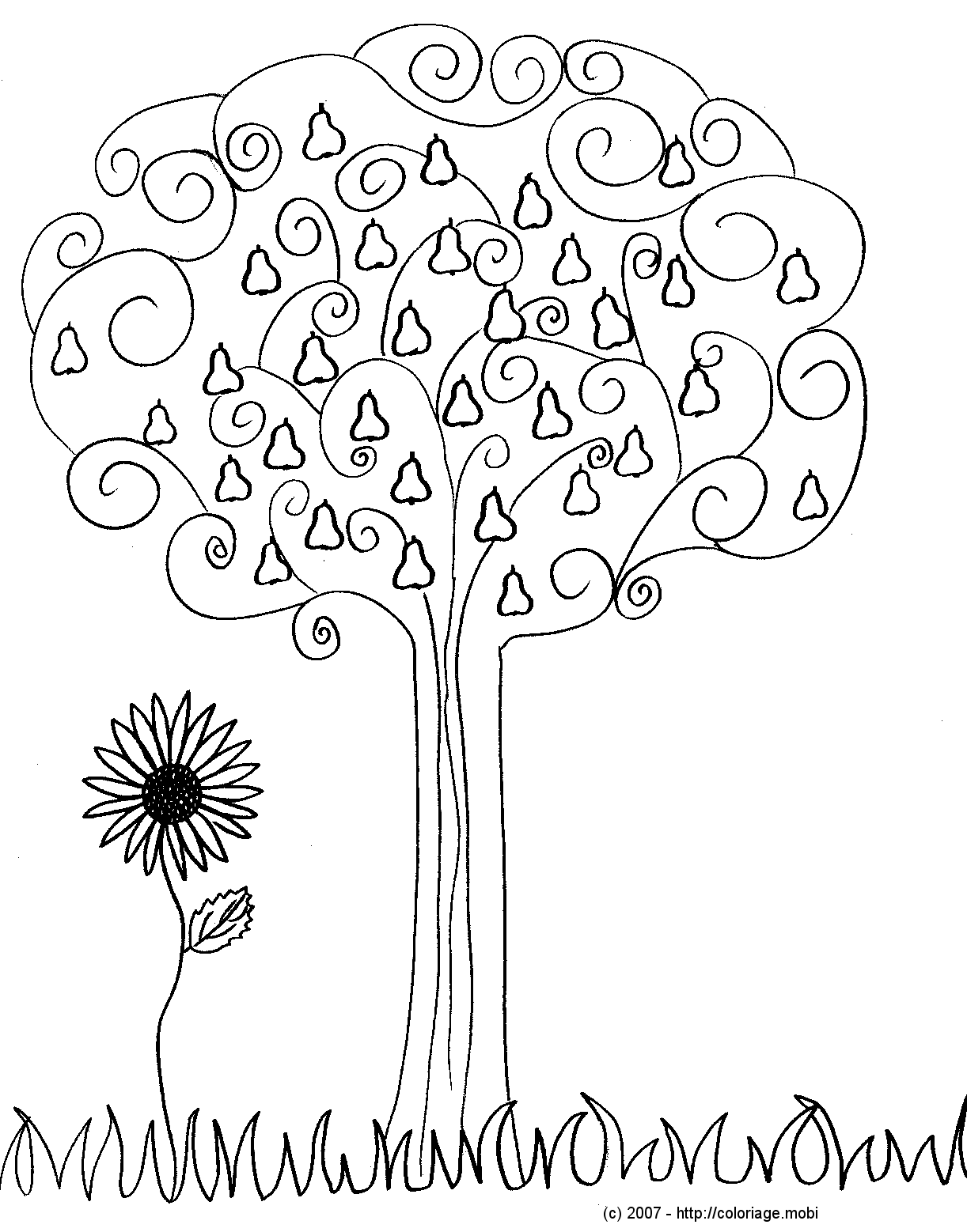 coloriage arbre automne