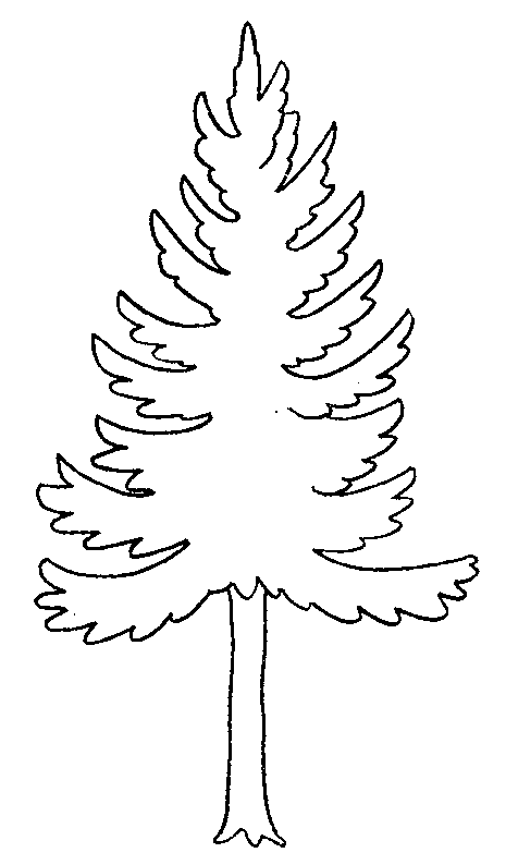 dessin a colorier arbre de noel