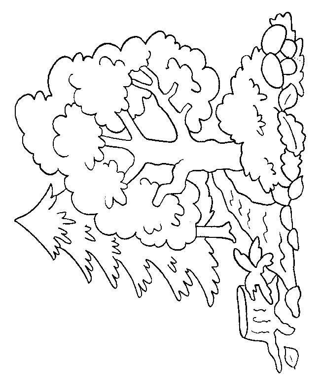 image  colorier arbre