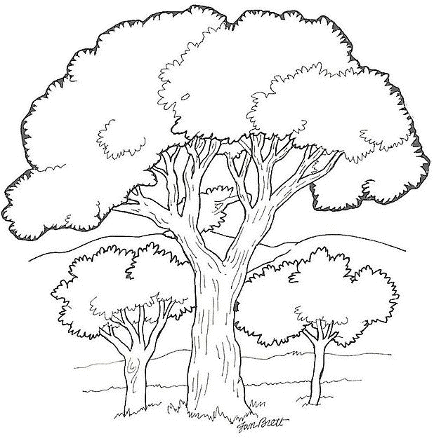 coloriage arbre automne maternelle