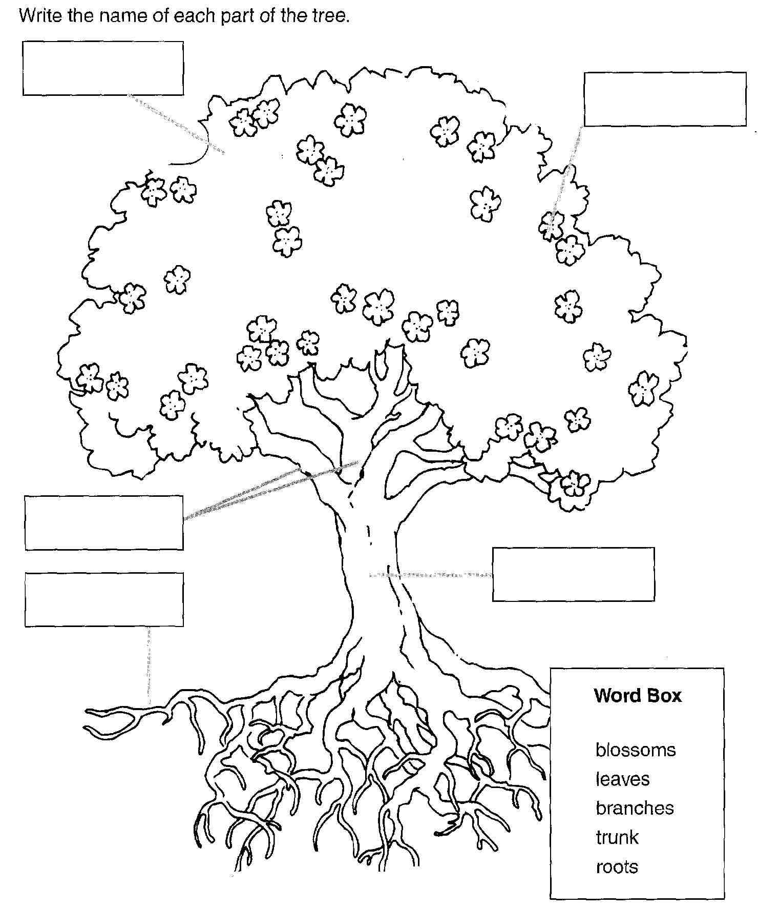 coloriage arbre maternelle