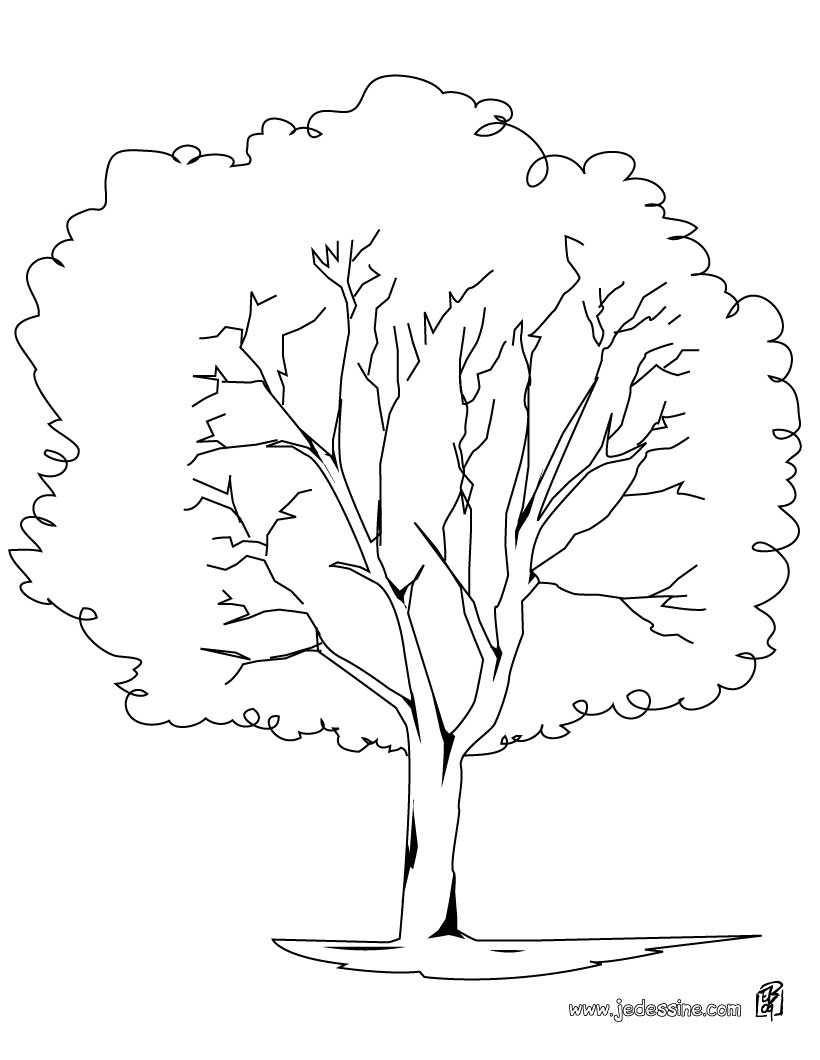 coloriage de l'arbre de vie