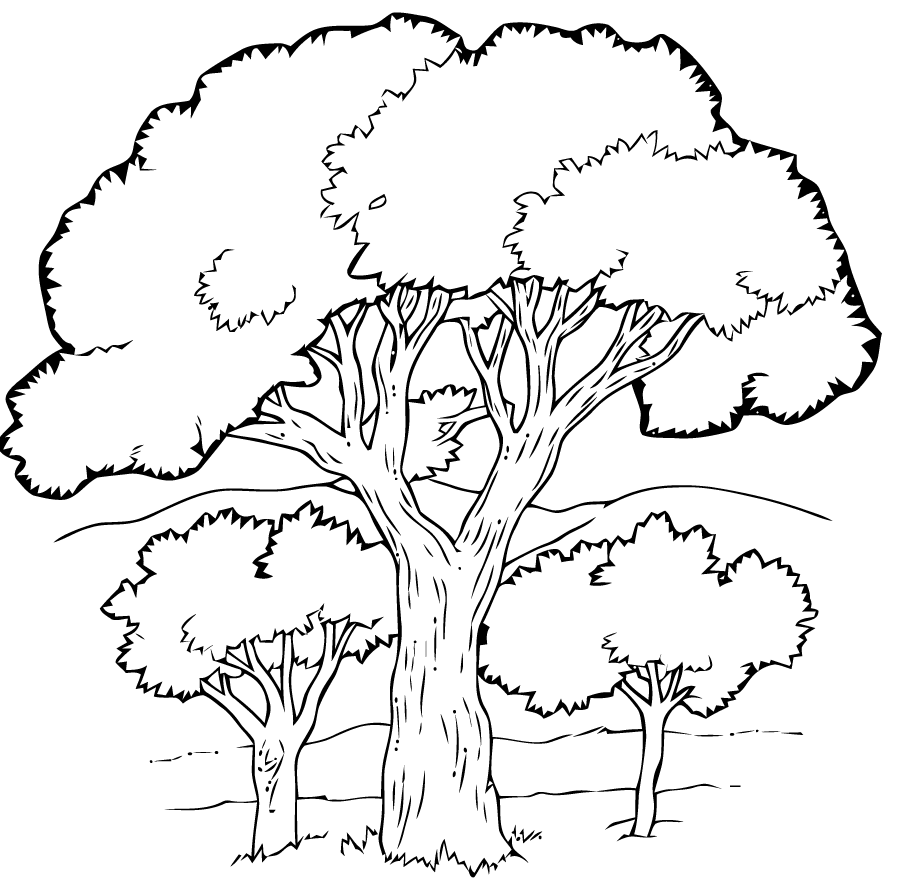 coloriage arbre halloween