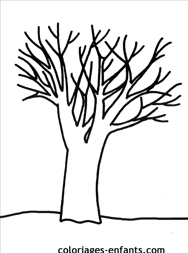 coloriage d arbres sans feuilles