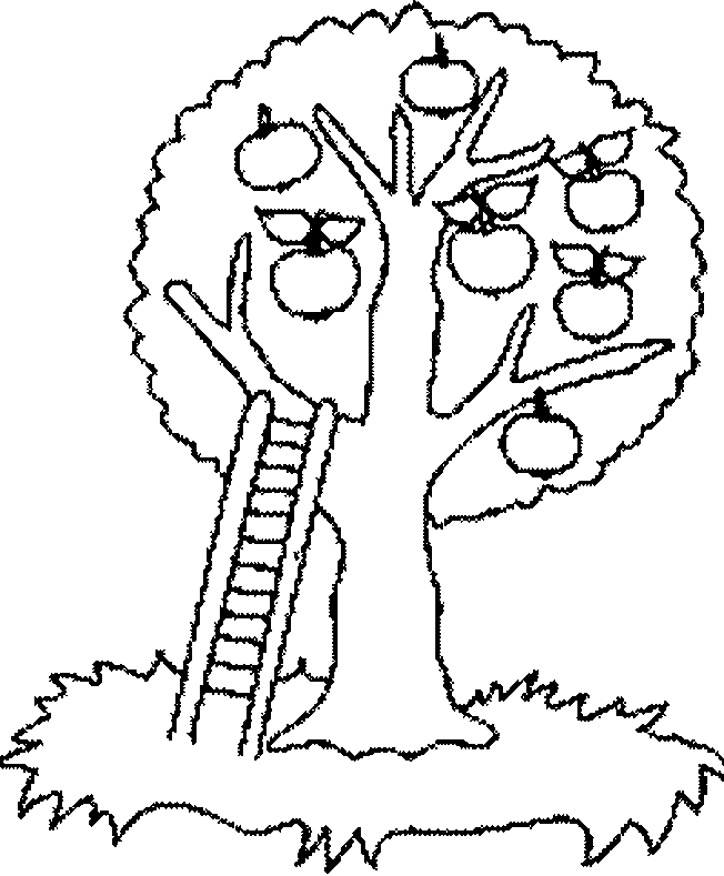 coloriage d'un arbre sans feuille