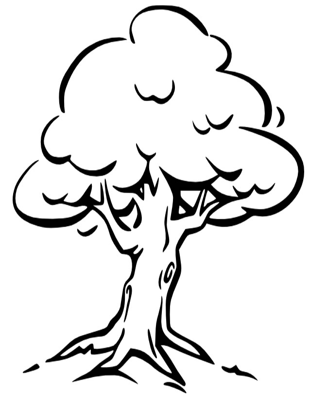 coloriage d'un arbre sans feuille