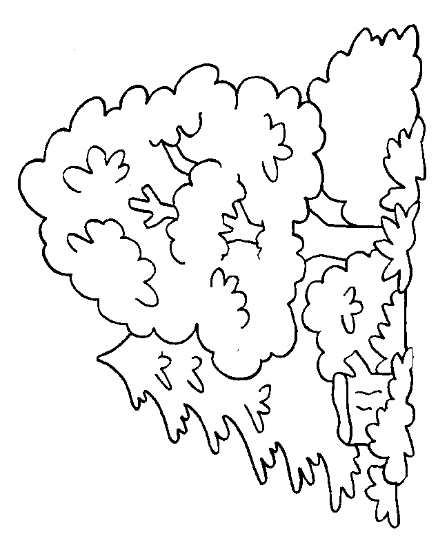 dessin à colorier arbre