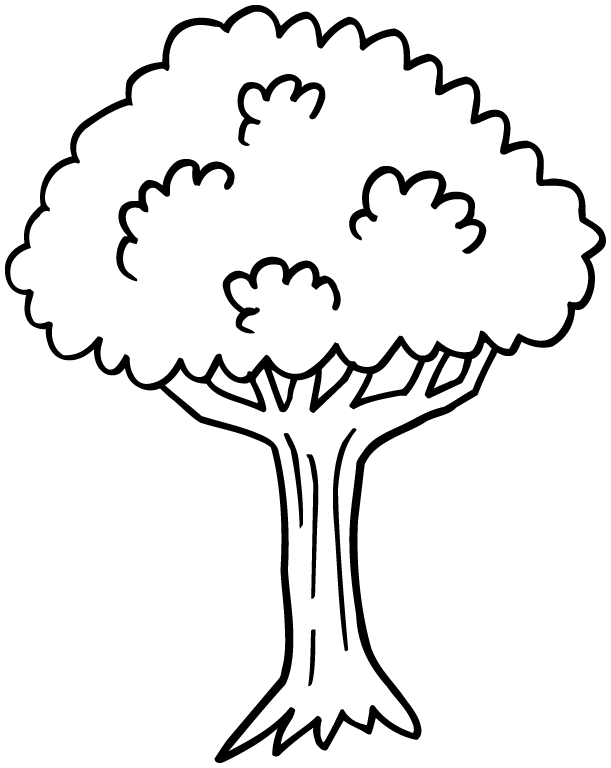 coloriage arbre acacia