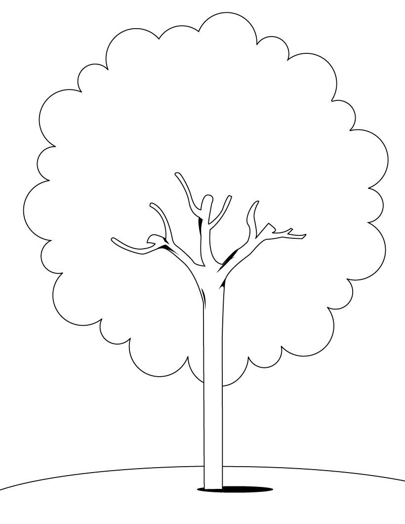 coloriage tronc arbre