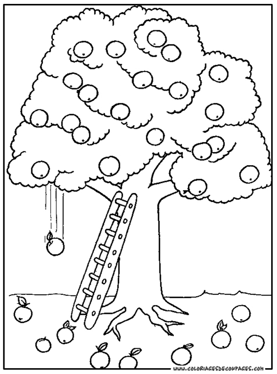 coloriage arbre japonais