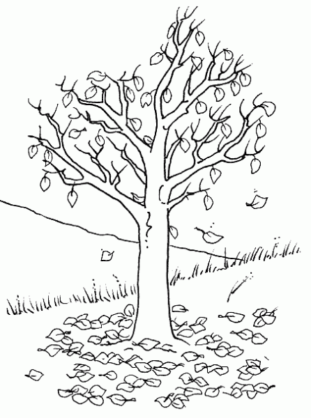 arbre rigolo coloriage