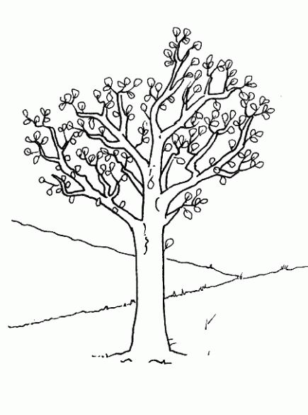 arbre pour coloriage