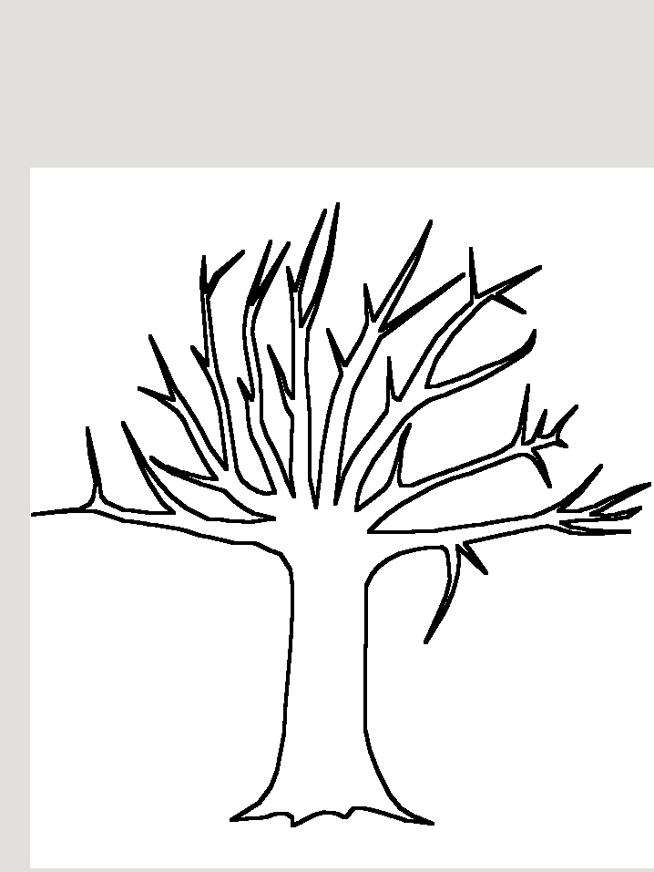 Coloriage Arbre A Imprimer Coloriage Arbre A Imprimer