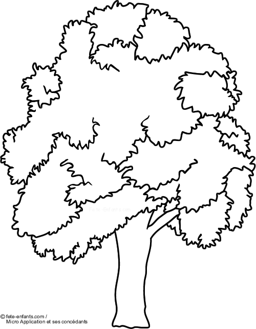 coloriage arbre savane imprimer