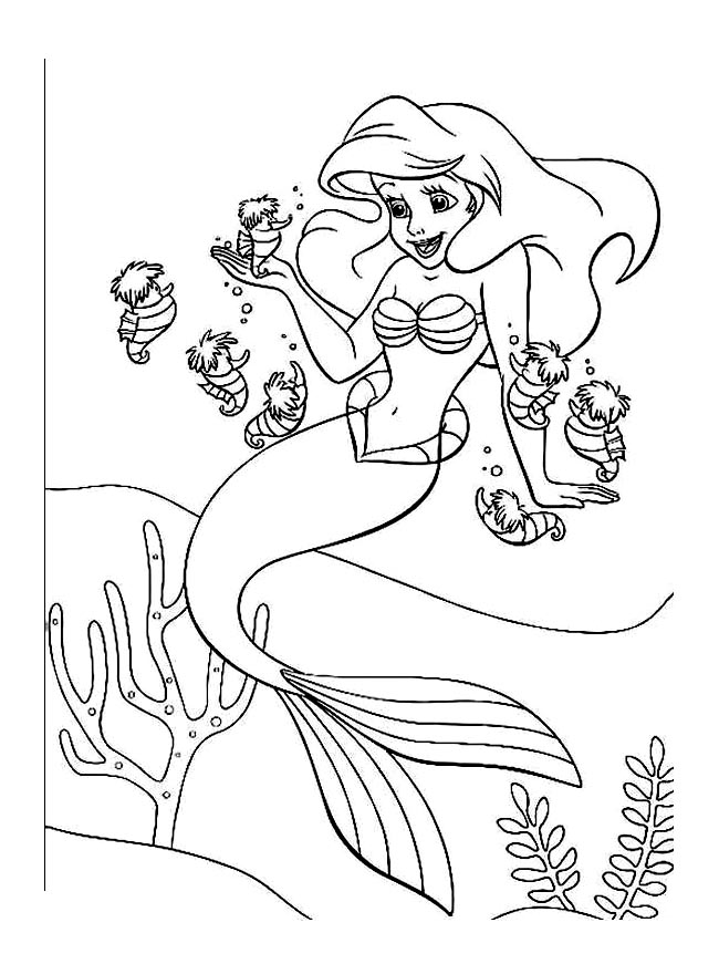 coloriage imprimer ariol