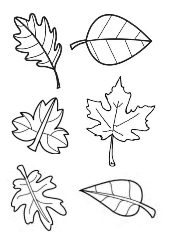 87 dessins de coloriage Automne Petite Section à imprimer