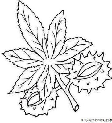 Coloriage Dautomne En Ligne