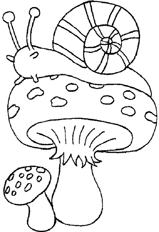 Coloriage automne pour la moyenne section