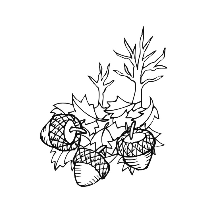 120 dessins de coloriage Automne à imprimer