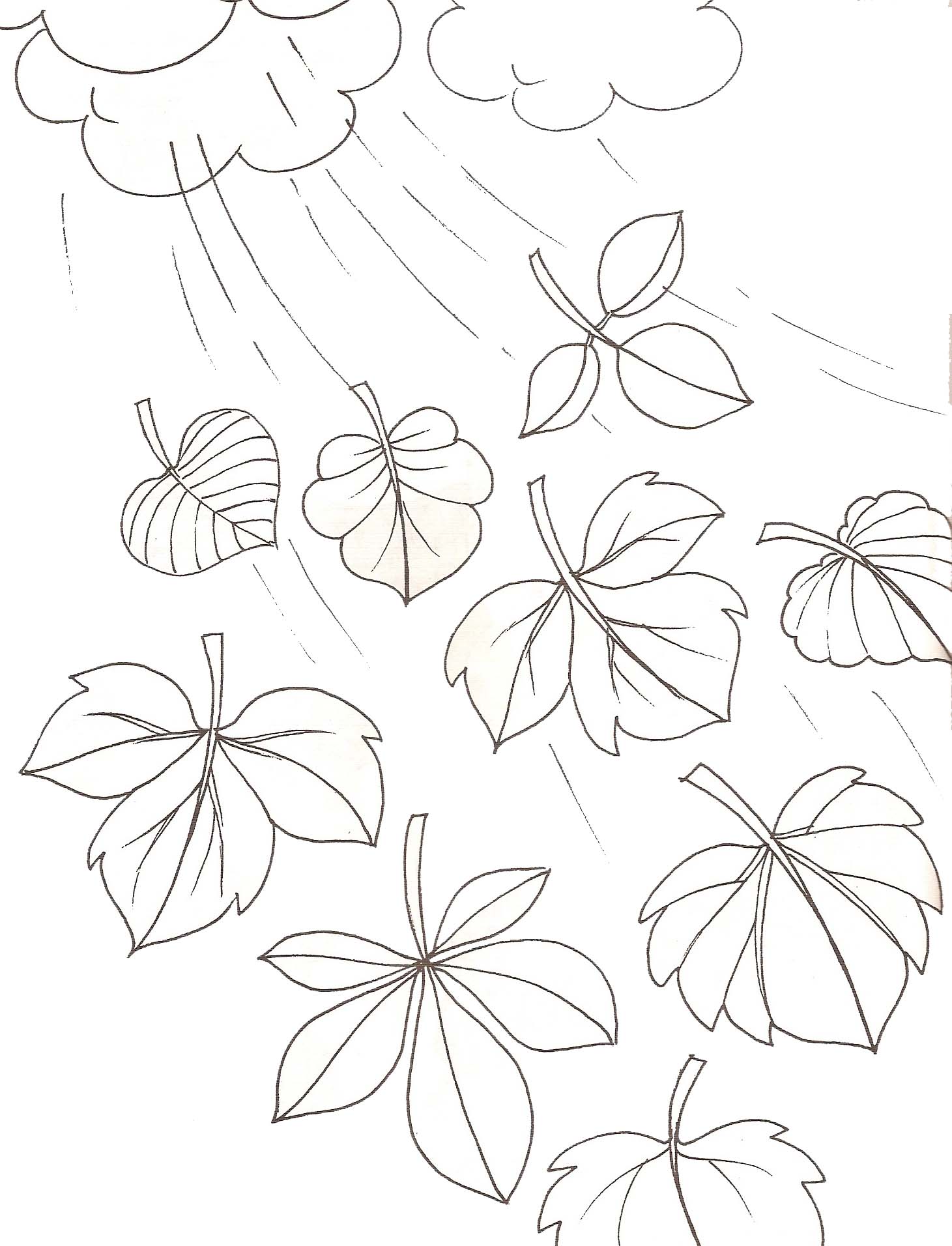 coloriage à dessiner d'automne à colorier