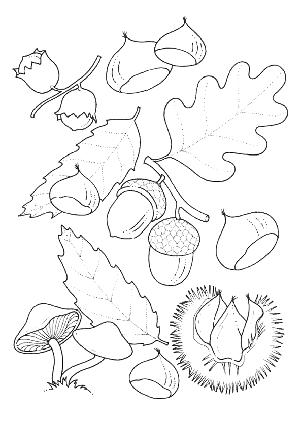 dessin d'automne grande section