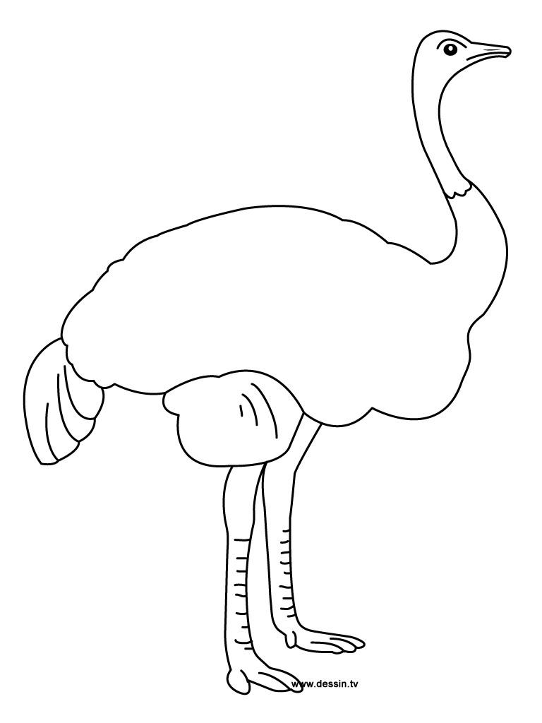 coloriage ƒ dessiner d autruche imprimer coloriage ƒ dessiner en ligne autruche