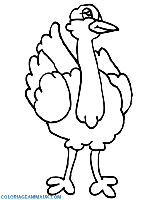 Dessin à Colorier Dautruche Imprimer