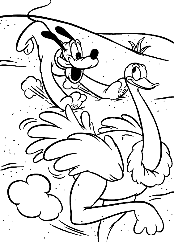 coloriage autruche gratuit
