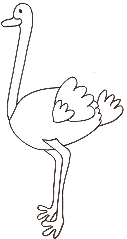 dessin d'autruche imprimer