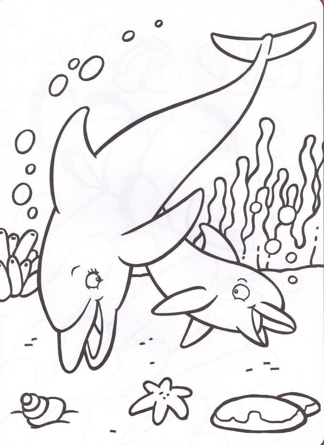 coloriage baleine et dauphin