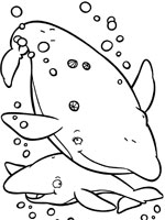 dessin skylanders baleine
