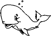 dessin dessin à colorier baleine