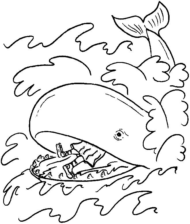 dessin la baleine