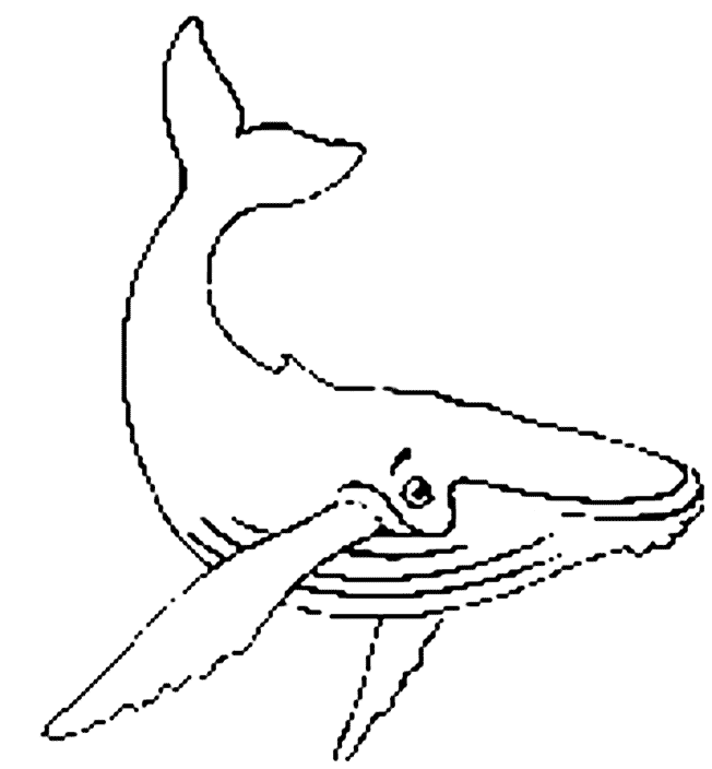 dessin � colorier de baleine