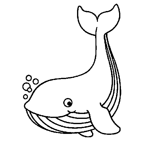dessin magique baleine