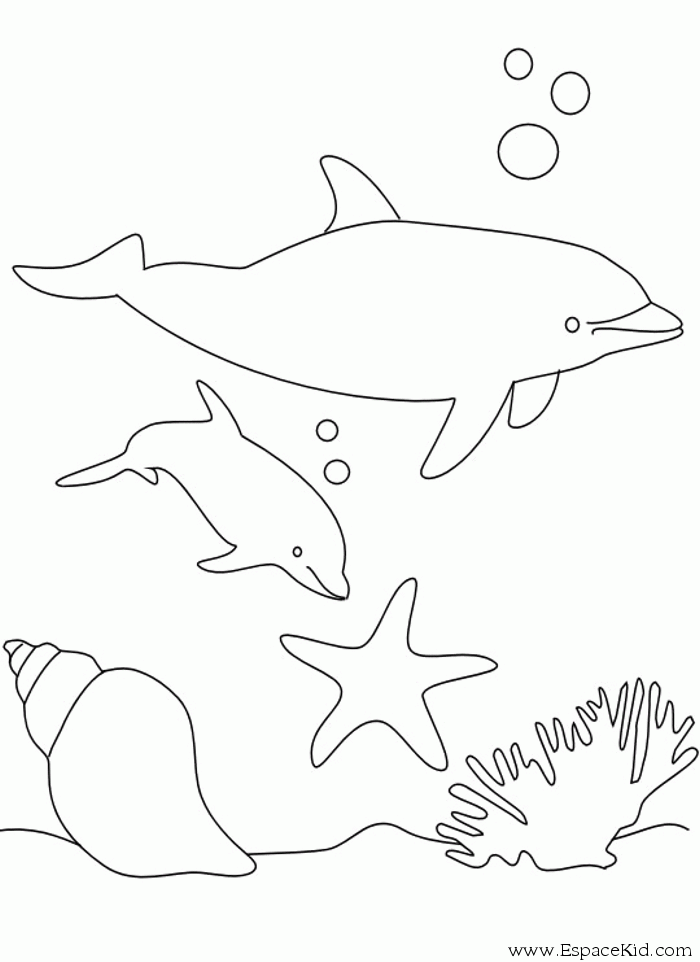 dessin à colorier baleine à bosse