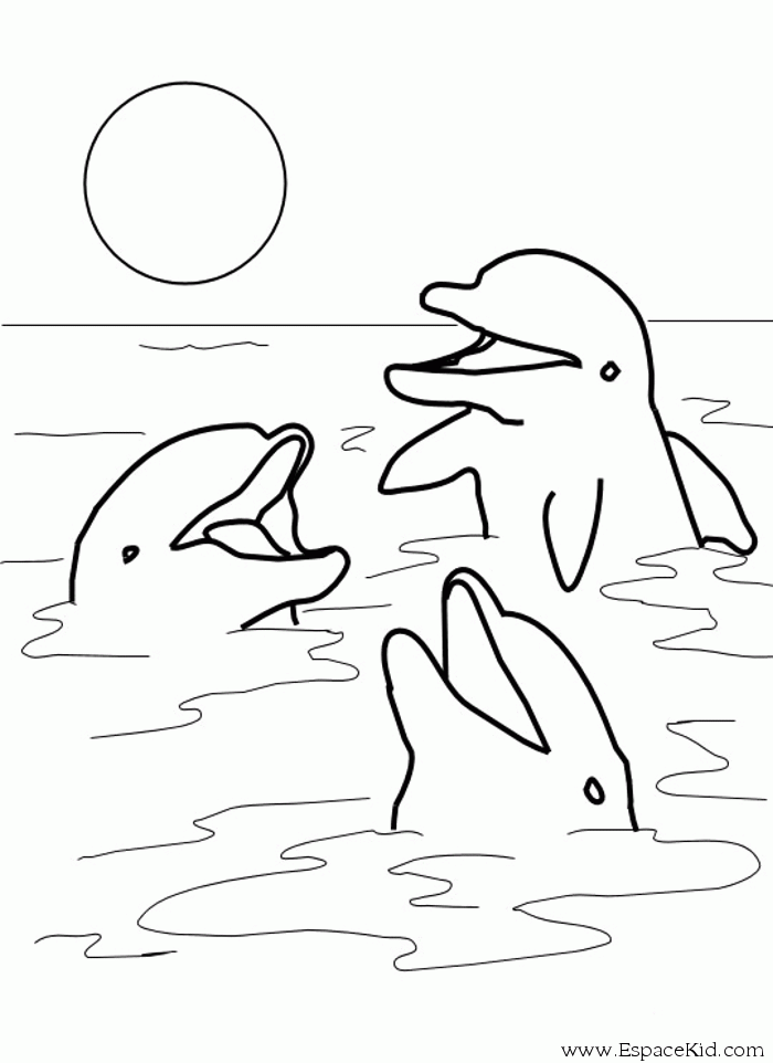 dessin à colorier baleine petite section