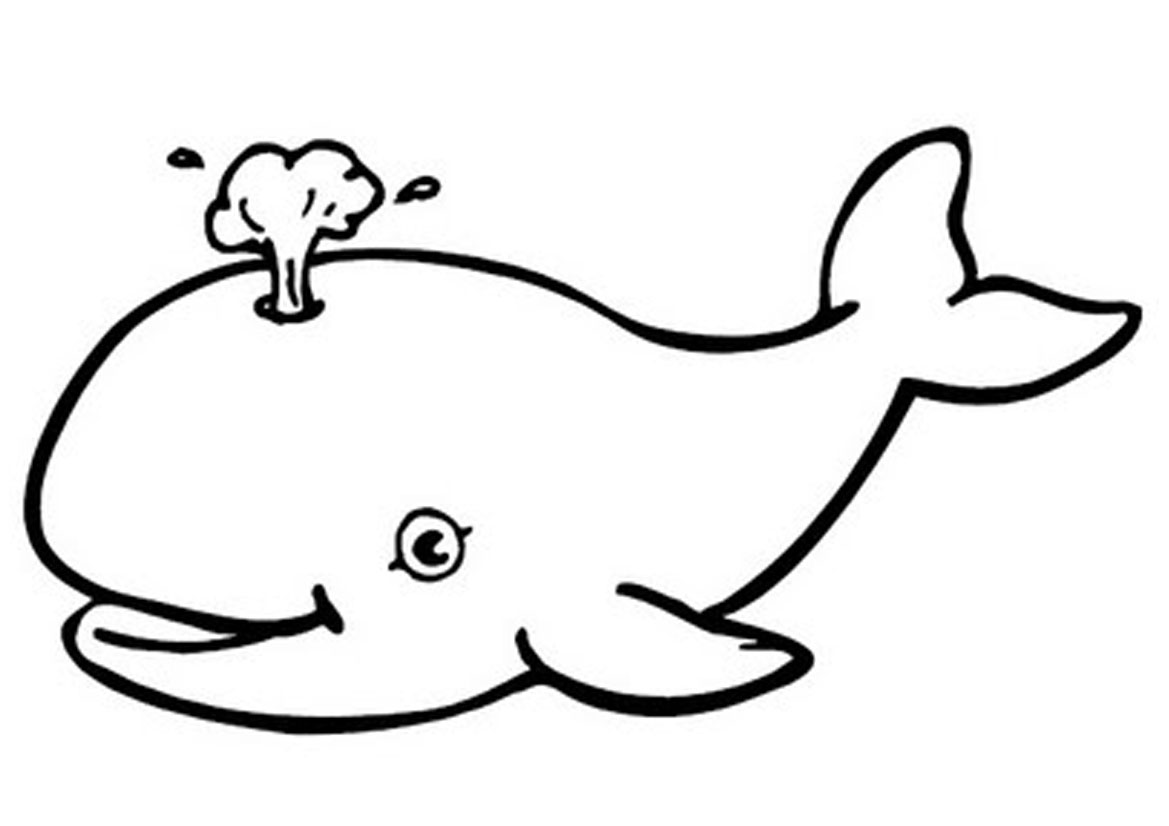 coloriage baleine imprimer