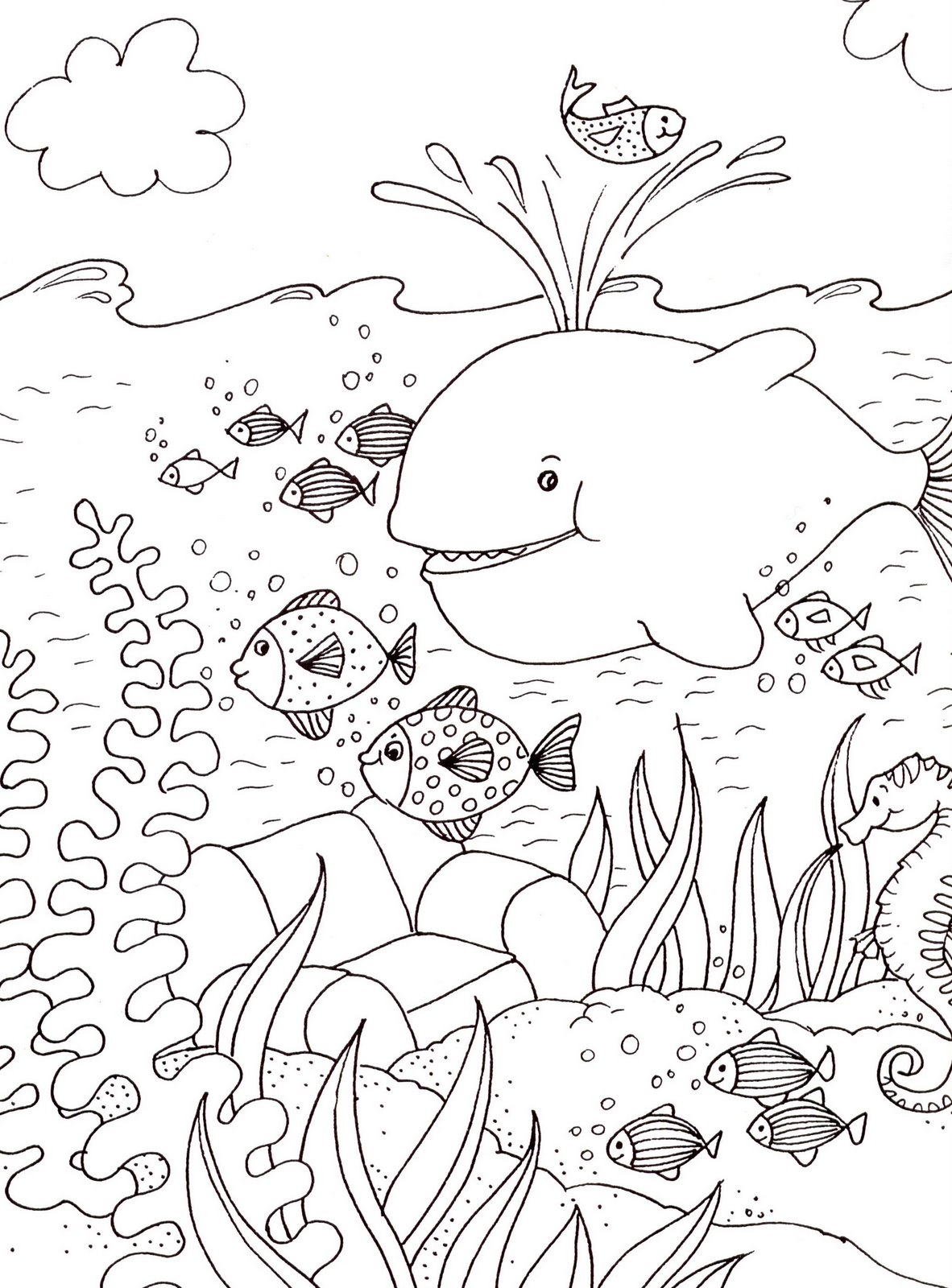 dessin à colorier skylanders baleine