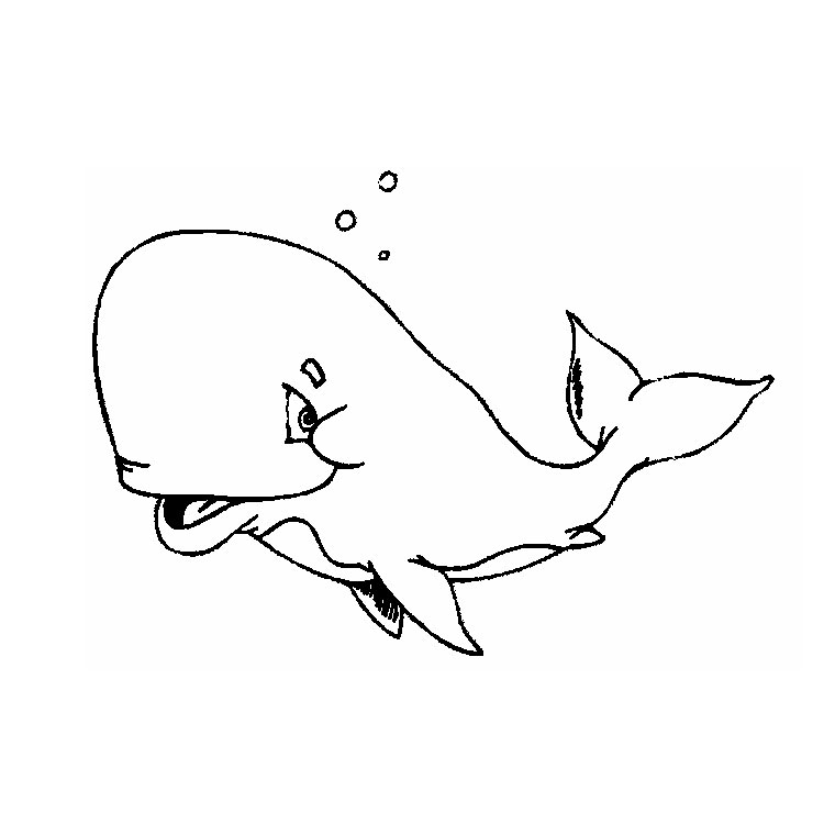 image dessin  colorier baleine