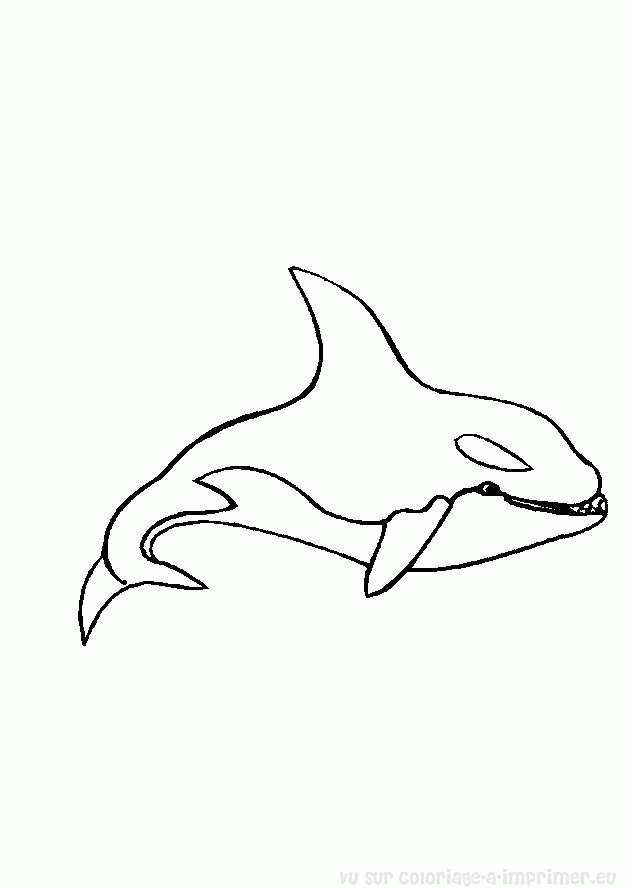 coloriage jonas et la baleine