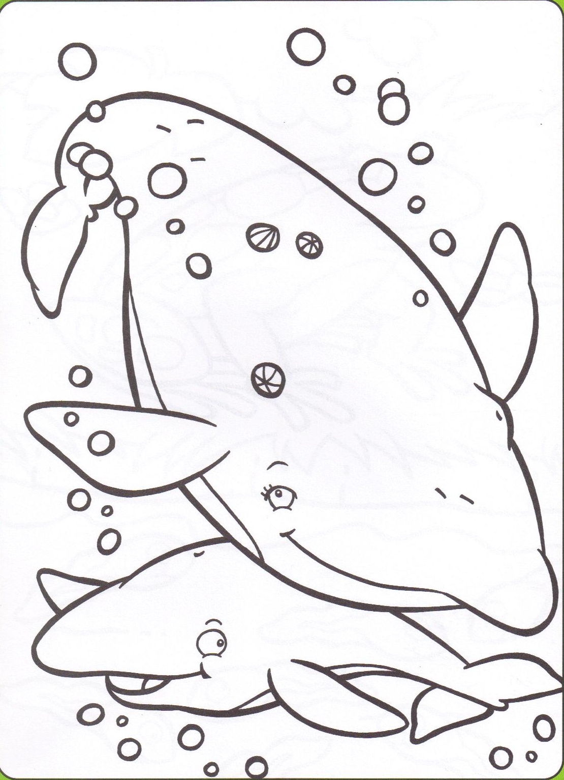 dessin baleine dessin à colorier gratuit