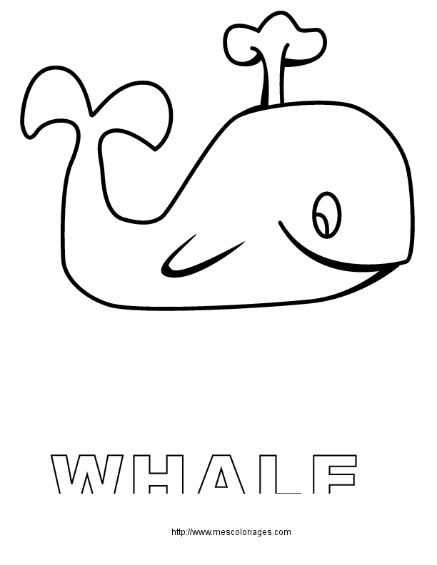dessin à colorier magique baleine