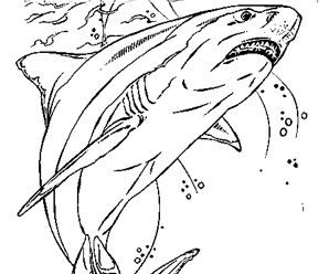dessin à colorier requin baleine imprimer
