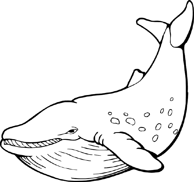 coloriage de baleine gratuit