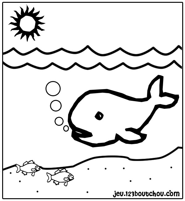 coloriage poisson baleine