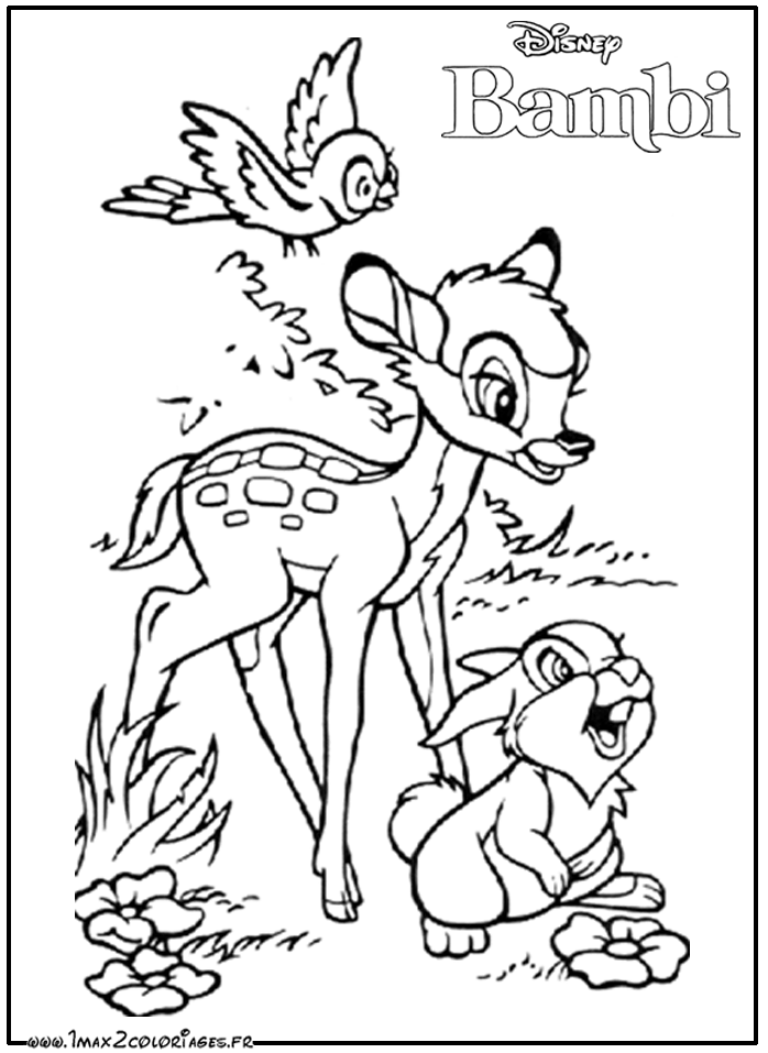 coloriage bambi 2 imprimer