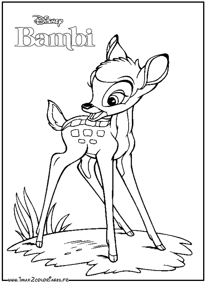 coloriage à dessiner bambi 2 imprimer